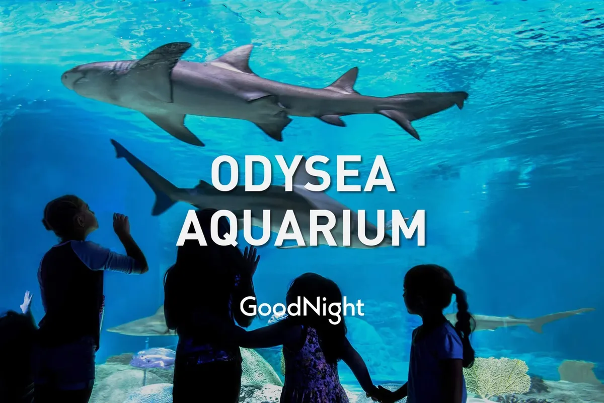 Inside a lively aquarium setting, children gaze in fascination at sharks swimming past a large glass window. The energy of discovery and family bonding moments is evident in this immersive marine environment.